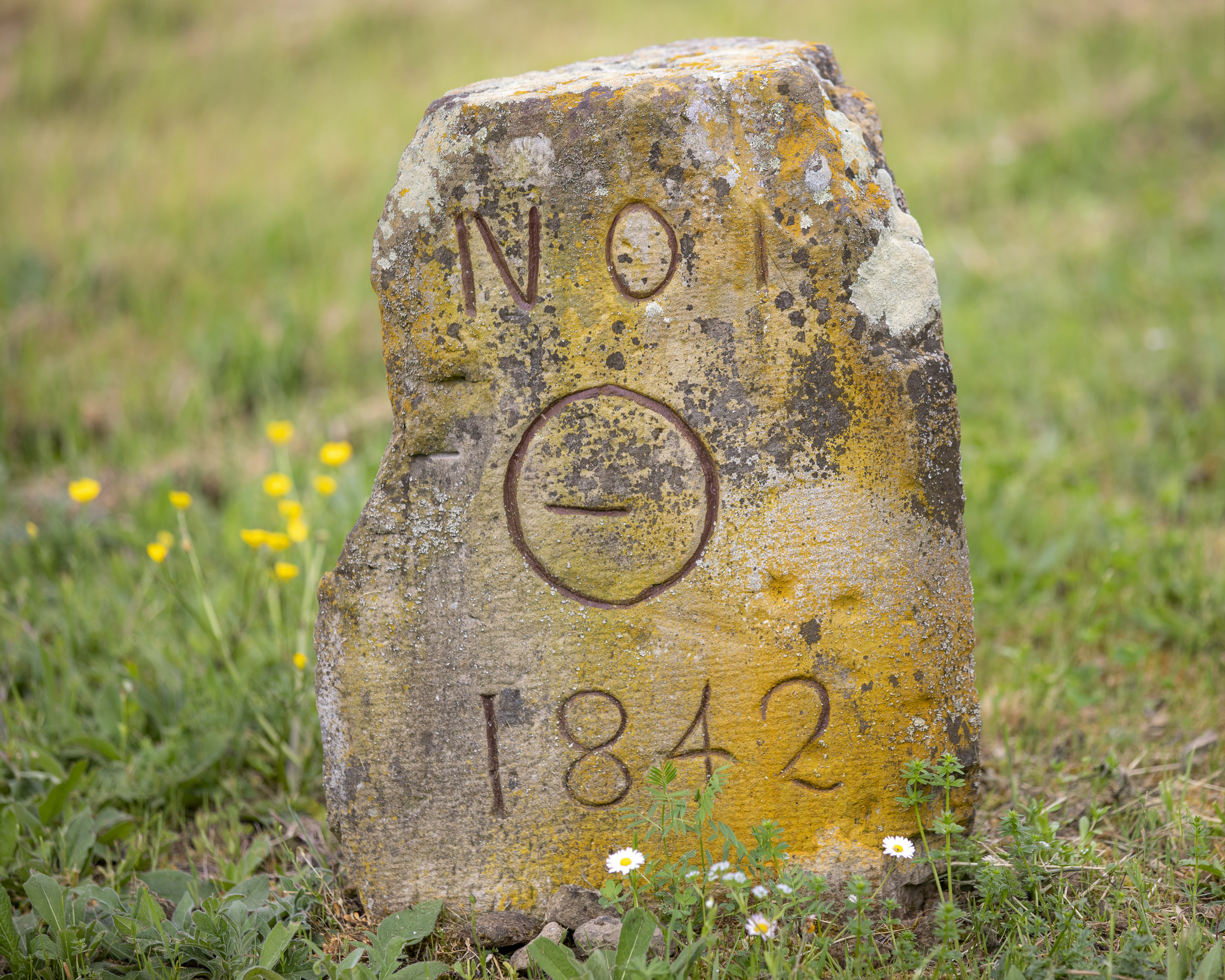 20250503135709 RD4 2549